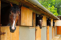 free Pocklington stable construction quotes